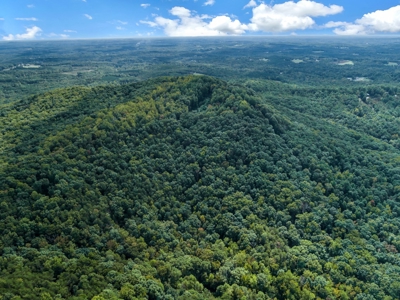Auction! 166+/- Mountain Top Acres - image 23