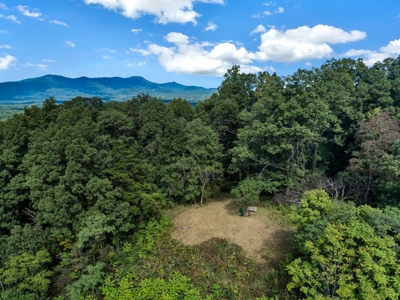 Auction! 166+/- Mountain Top Acres - image 21