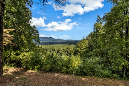 Auction! 166+/- Mountain Top Acres - image 11