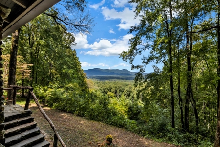 Auction! 166+/- Mountain Top Acres - image 14