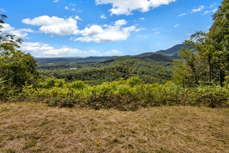 Auction! 166+/- Mountain Top Acres - image 2