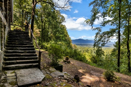 Auction! 166+/- Mountain Top Acres - image 17