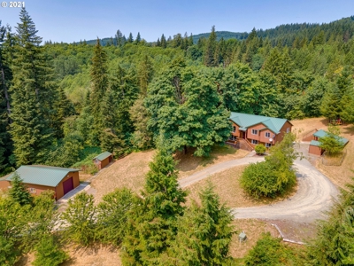 home for sale Amboy WA - image 1