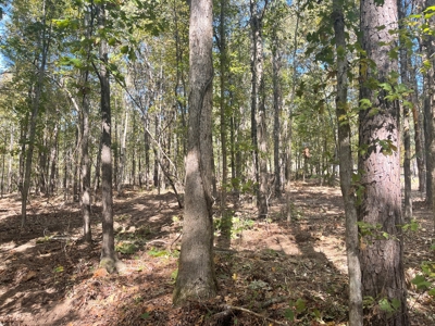 Development Land with Timber For Sale in Bauxite, AR - image 12