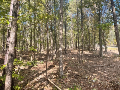 Development Land with Timber For Sale in Bauxite, AR - image 13