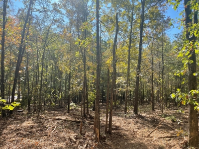 Development Land with Timber For Sale in Bauxite, AR - image 5