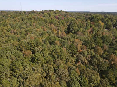 Development Land with Timber For Sale in Bauxite, AR - image 20