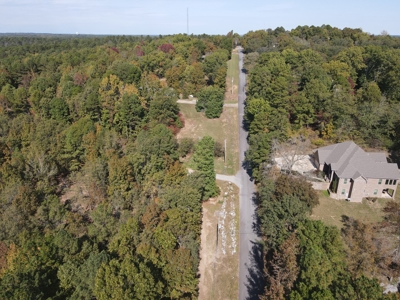 Development Land with Timber For Sale in Bauxite, AR - image 16
