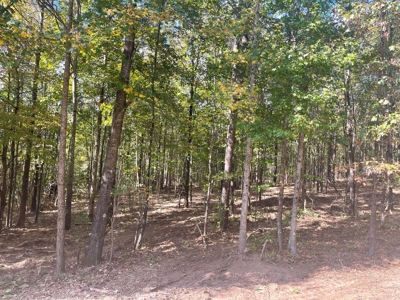 Development Land with Timber For Sale in Bauxite, AR - image 9