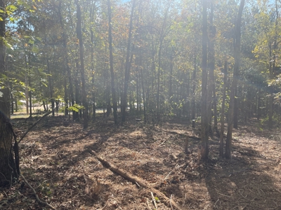 Development Land with Timber For Sale in Bauxite, AR - image 8