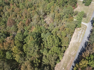 Development Land with Timber For Sale in Bauxite, AR - image 14