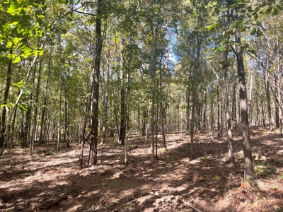 Development Land with Timber For Sale in Bauxite, AR - image 11