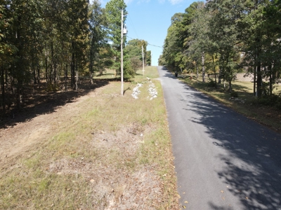 Development Land with Timber For Sale in Bauxite, AR - image 1