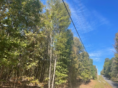 Development Land with Timber For Sale in Bauxite, AR - image 10
