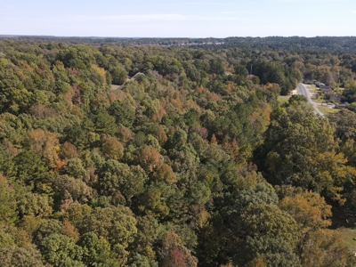 Development Land with Timber For Sale in Bauxite, AR - image 19