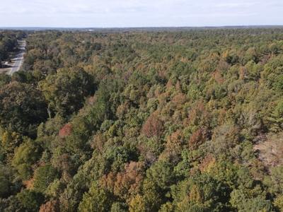 Development Land with Timber For Sale in Bauxite, AR - image 15