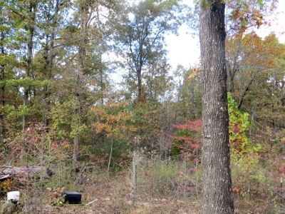 Land for Sale in Fulton Co - image 6