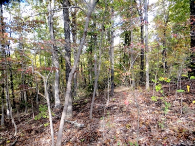 Land for Sale in Fulton Co - image 10