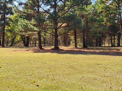 Country Log Cabin Property For Sale Clarksville Texas - image 20