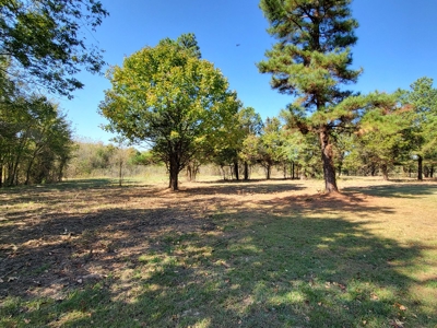 Country Log Cabin Property For Sale Clarksville Texas - image 19