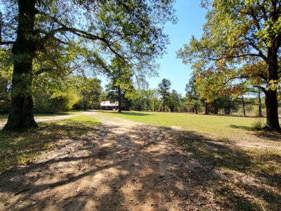 Country Log Cabin Property For Sale Clarksville Texas - image 3
