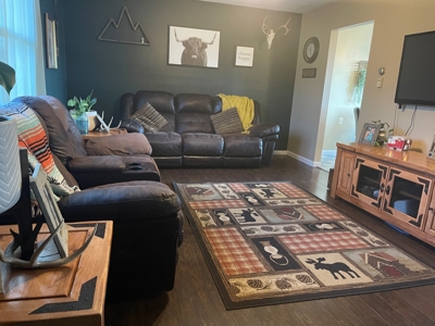 Beallsville OH Bi-Level home on 12+ Acres For Sale - image 6