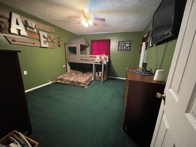 Beallsville OH Bi-Level home on 12+ Acres For Sale - image 12