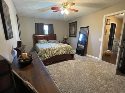 Beallsville OH Bi-Level home on 12+ Acres For Sale - image 8