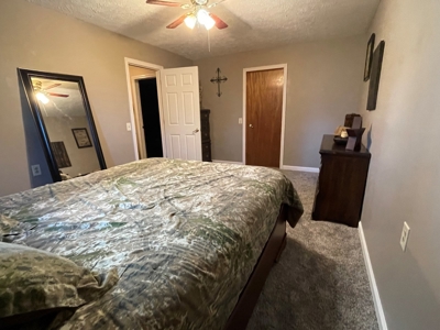 Beallsville OH Bi-Level home on 12+ Acres For Sale - image 9