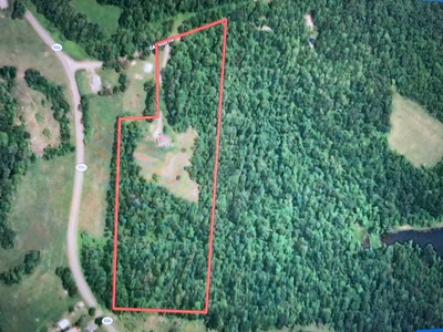 Beallsville OH Bi-Level home on 12+ Acres For Sale - image 44