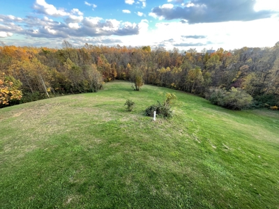 Beallsville OH Bi-Level home on 12+ Acres For Sale - image 35