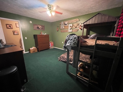 Beallsville OH Bi-Level home on 12+ Acres For Sale - image 13