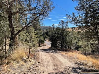 Hunting Cabin In Weed New Mexico For Sale - image 17