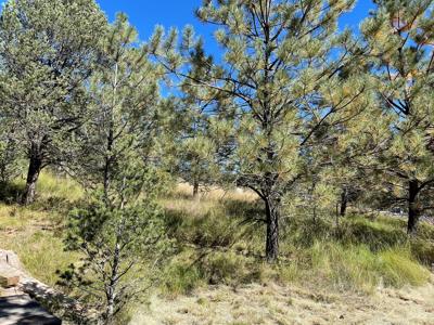 Hunting Cabin In Weed New Mexico For Sale - image 7