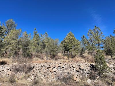 Hunting Cabin In Weed New Mexico For Sale - image 20