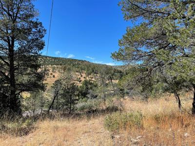 Hunting Cabin In Weed New Mexico For Sale - image 4