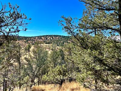 Hunting Cabin In Weed New Mexico For Sale - image 21