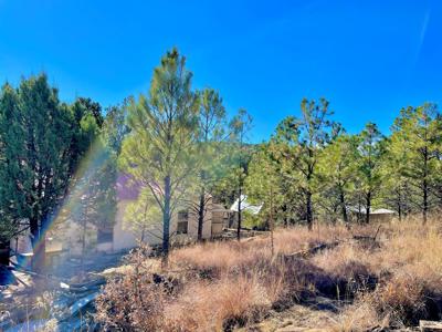 Hunting Cabin In Weed New Mexico For Sale - image 33