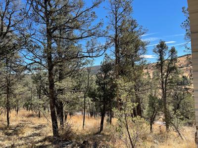 Hunting Cabin In Weed New Mexico For Sale - image 24