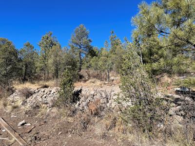 Hunting Cabin In Weed New Mexico For Sale - image 19