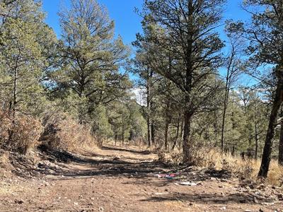 Hunting Cabin In Weed New Mexico For Sale - image 23