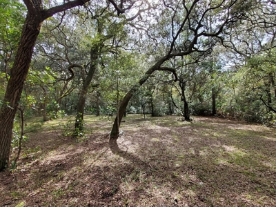 Manatee Farms Estates! - image 7