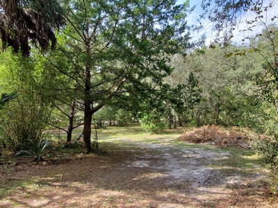 Manatee Farms Estates! - image 12