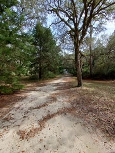 Manatee Farms Estates! - image 10