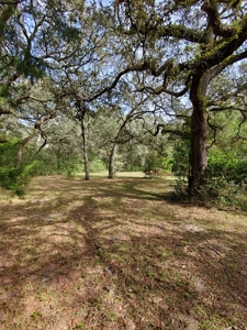 Manatee Farms Estates! - image 8