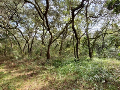 Manatee Farms Estates! - image 9