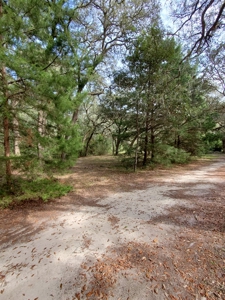 Manatee Farms Estates! - image 11