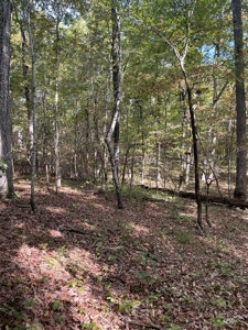 Mount Ida  Arkansas Land For Sale - image 12