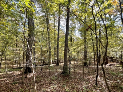Mount Ida  Arkansas Land For Sale - image 26