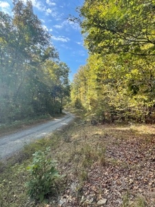 Mount Ida  Arkansas Land For Sale - image 31